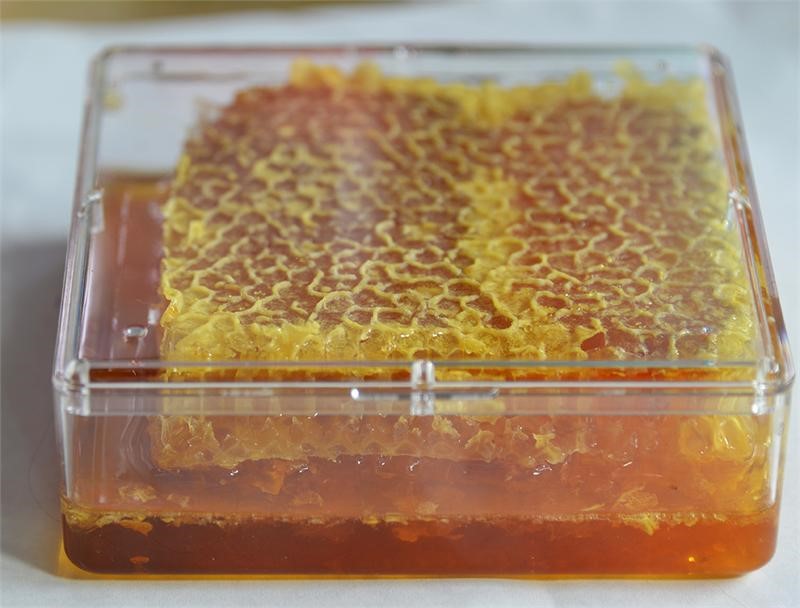  Raw Honey Nutrition Santa Fe Ranchettes Bell FL